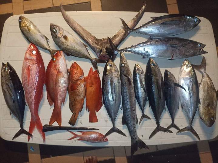 Sortie pêche en mer Martinique