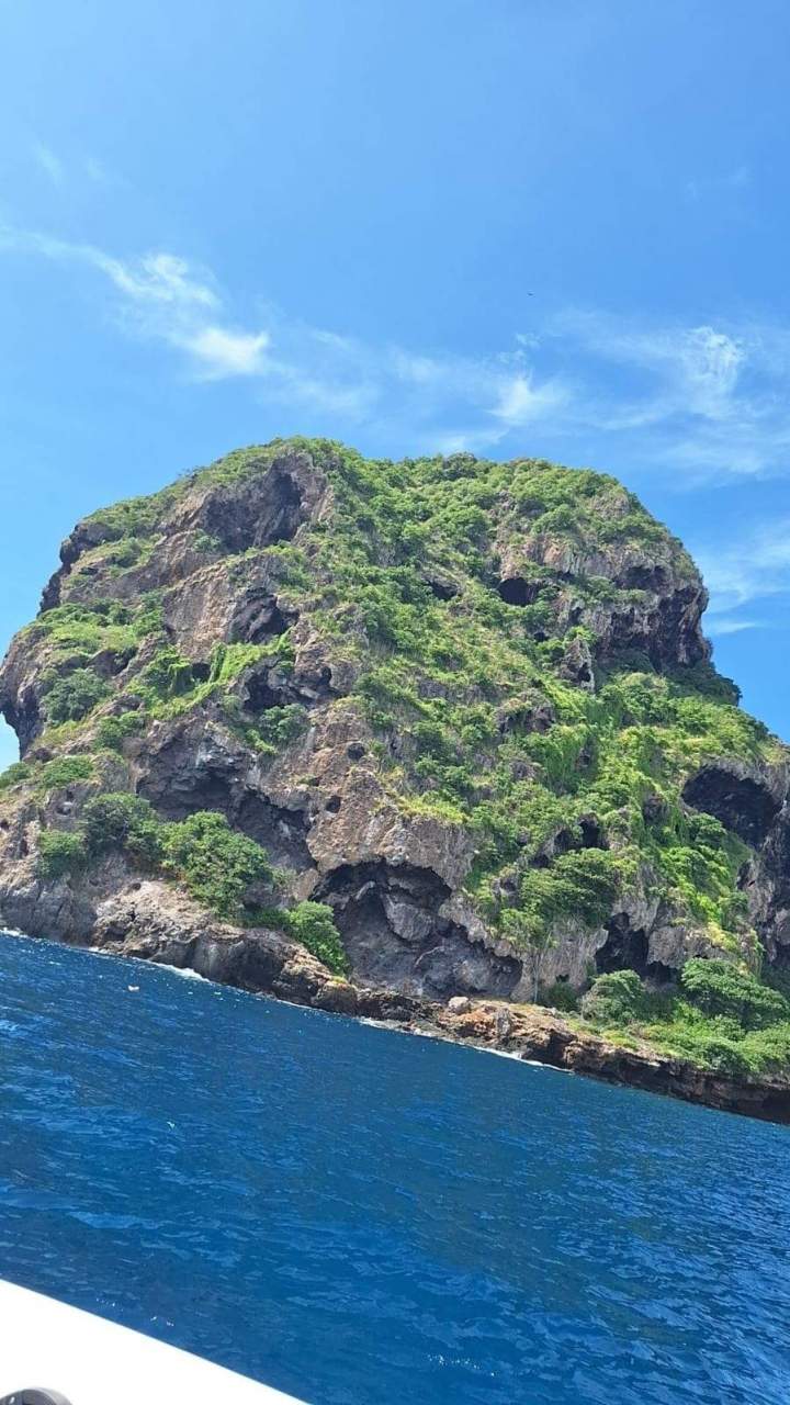 Exploration des paysages côtiersMartinique
